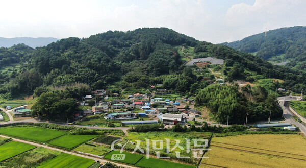 [달빛나루 진월] 11. 고목의 자태가 멋들어진 사동 마을