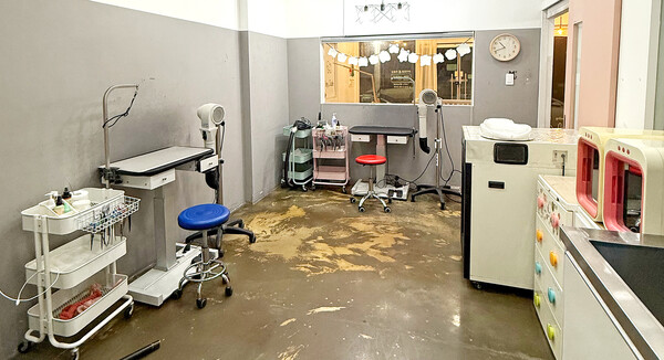 반려견이 편안하게 미용받을 수 있는 쾌적하고 깨끗한 공간