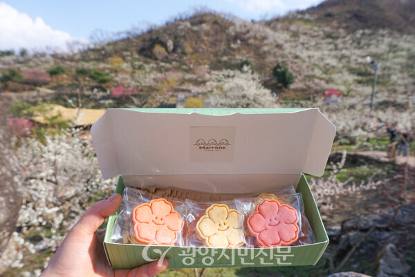 3월 한 달 동안 마로네에서 판매하는 '매화 샌드 쿠키' 