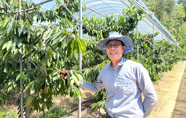 송재운(72) 섬진강 호야네 체리농장 대표