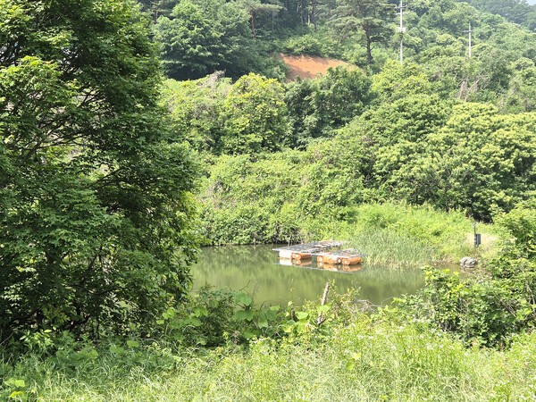 마을 사람들 힘으로 만들었다는 저수지(조령제)