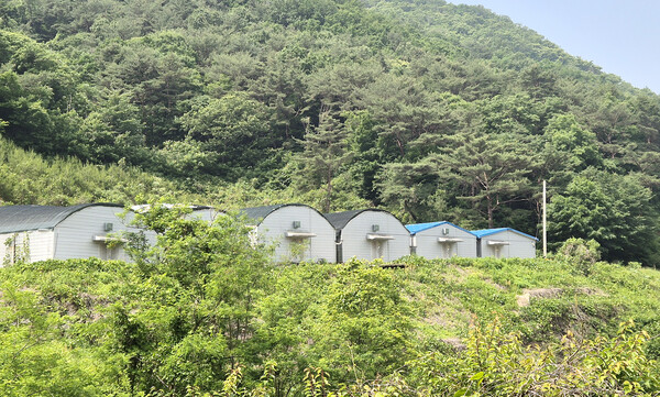 지반이 내려앉아 방치된 양송이 공장