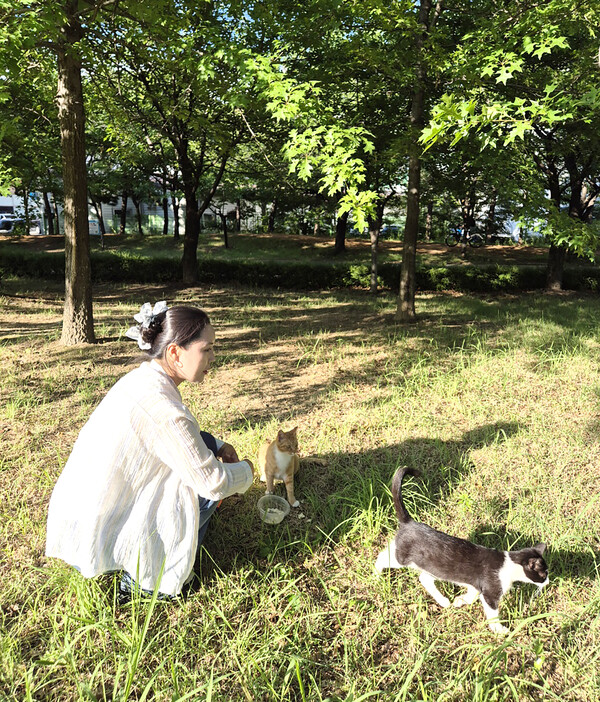 길고양이들을 돌보는 강선미 씨