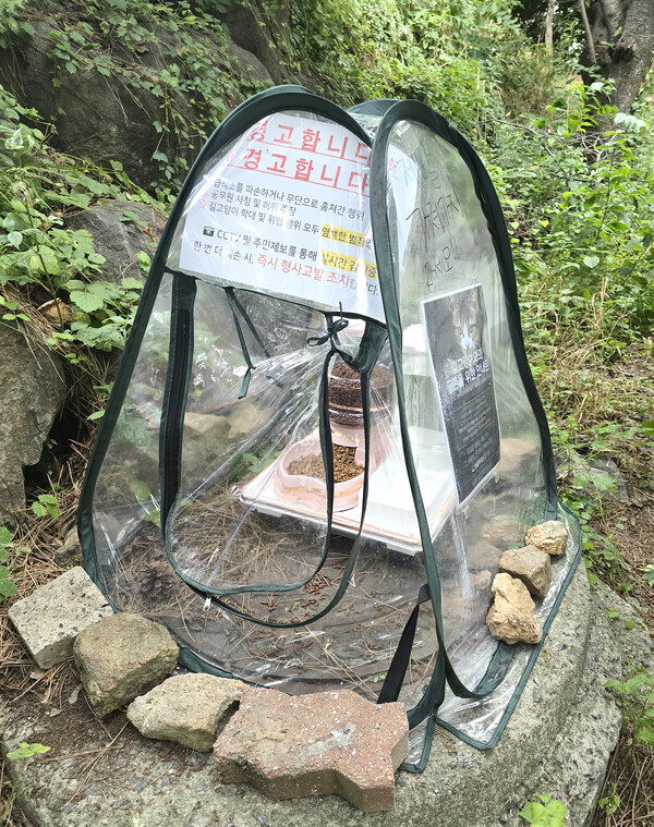 강씨가 사비를 들여 만든 길고양이 급식소