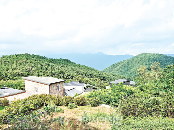 백운산 억불봉을 바라보는 사색로