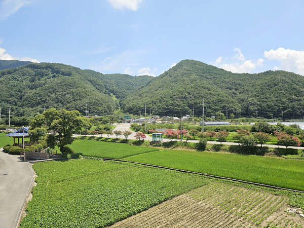 도로 우측 오얏골에 여섯 가구가 산다