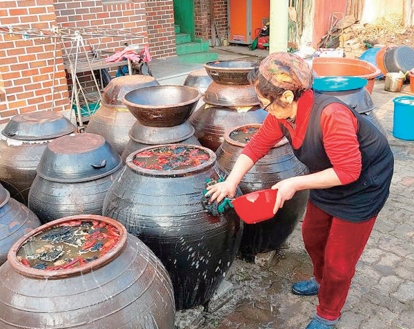 김점자 여사가 직접 담근 된장과 간장을 손질하고 있다.