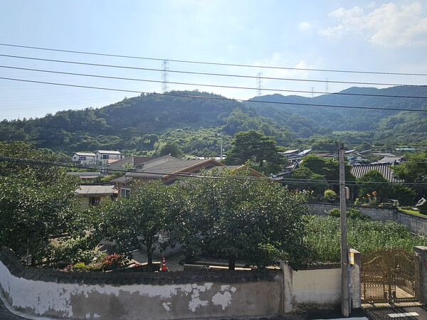 마을 서북쪽 진등에 고압선 철탑이 보인다