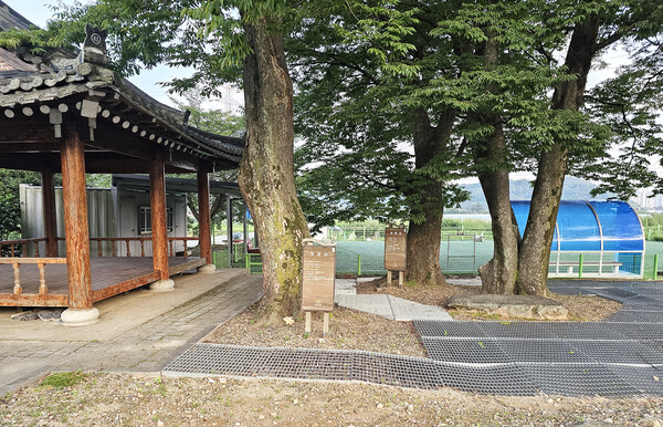 마을 입구에 있는 정자, 느티나무 네 그루, 게이트볼장