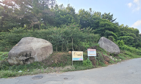 가자골 가는 길에 왕바구