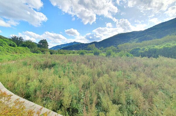 전원 주택 조성 부지